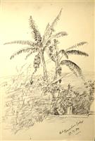 cc02980 Carter sketch book page 38.jpg; cc02980; Sketch book of Reverend Henry Carter; Album